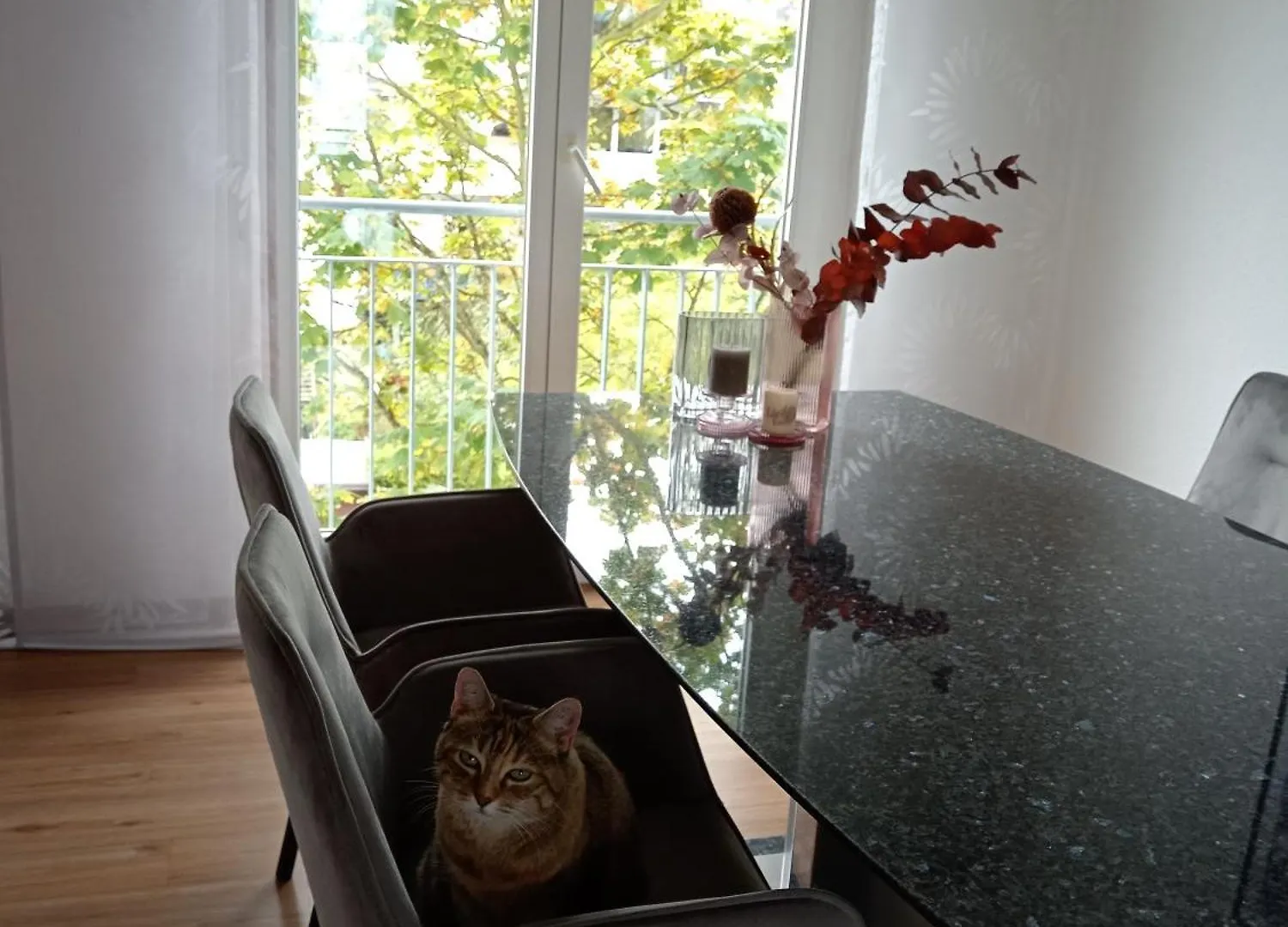Gemuetliches Zimmer- Zu Beachten Katze Wohnt In Der Wohnung !! Nur Fuer Frauen ! Ostfildern